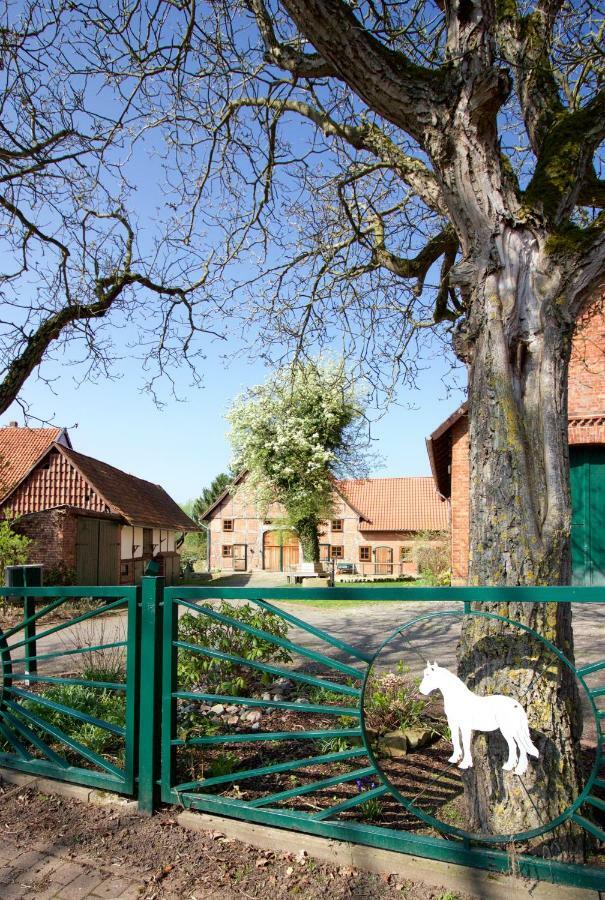 منزل الضيف Wilhelmshof Feggendorf المظهر الخارجي الصورة